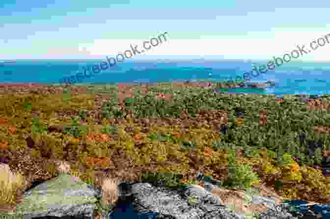 A Hiker Ascends The Mount Battie Trail, Enjoying Stunning Panoramic Views Of Penobscot Bay. Best Easy Day Hikes Camden (Best Easy Day Hikes Series)