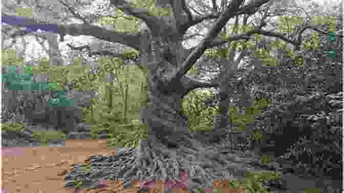 A Majestic Ancient Tree With Twisted Roots And A Canopy Reaching Towards The Sky The Mysterious Woods Of Whistle Root