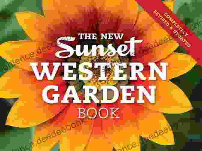 Cover Of The Garden On Sunset Novel By Anthony Veiller Tinseltown Confidential: A Novel Of Golden Era Hollywood (Hollywood S Garden Of Allah Novels 7)