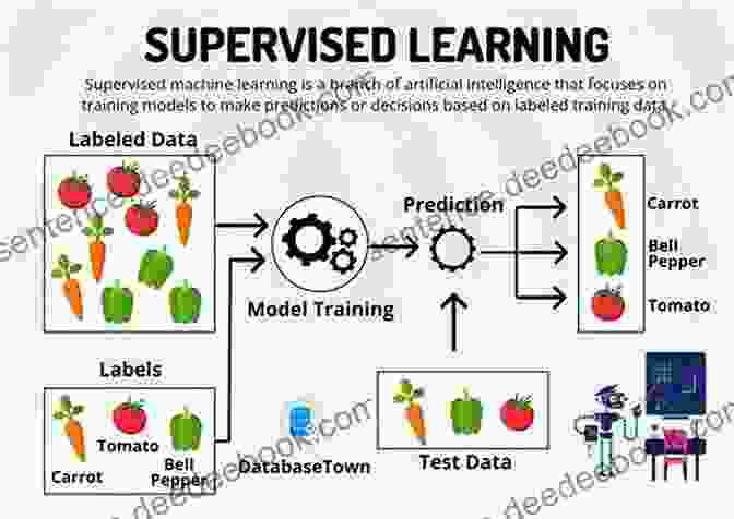 Decision Tree Hands On Supervised Learning With Python: Learn How To Solve Machine Learning Problems With Supervised Learning Algorithms Using Python