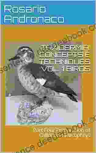 TAXIDERMY: CONCEPTS AND TECHNIQUES VOL 1 BIRDS: Part Four Preparation of Callonetta leucophrys (Taxidermy embalming birds 4)