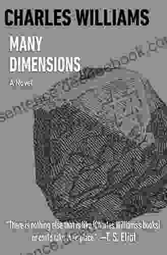 Many Dimensions: A Novel Daniel Mintie LCSW